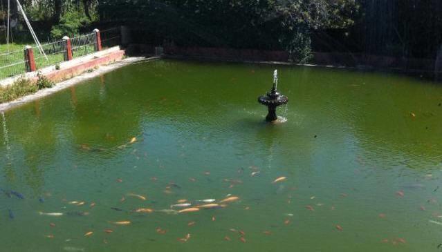 Campestre Sierra Viva Hotel Zacatlán Eksteriør billede